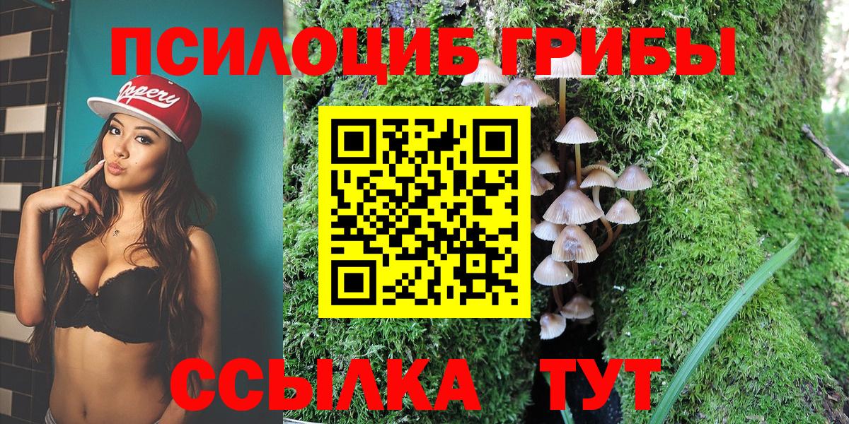 Псилоцибиновые грибы MAGIC MUSHROOMS  Вход с VPN  Красногорск 