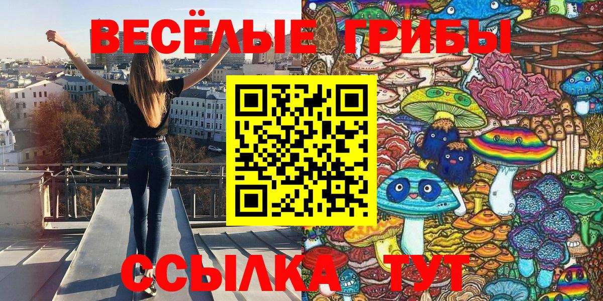 Псилоцибиновые грибы MAGIC MUSHROOMS Красногорск